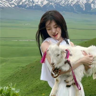 犯罪都市4